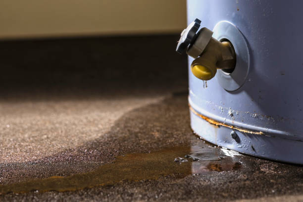 Best Basement water damage restoration  in River Grove, IL