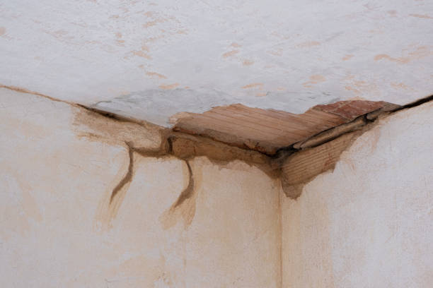 Best Sewage cleanup and water damage restoration  in River Grove, IL
