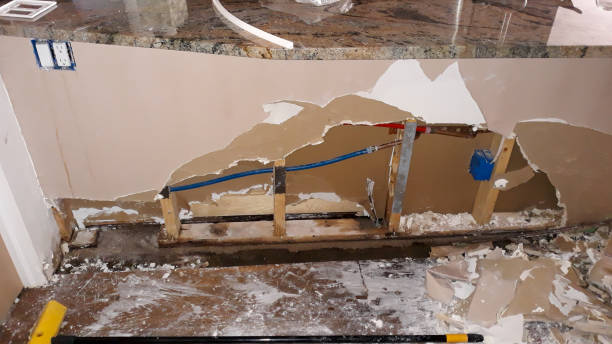 Best Fire Damage Restoration  in River Grove, IL