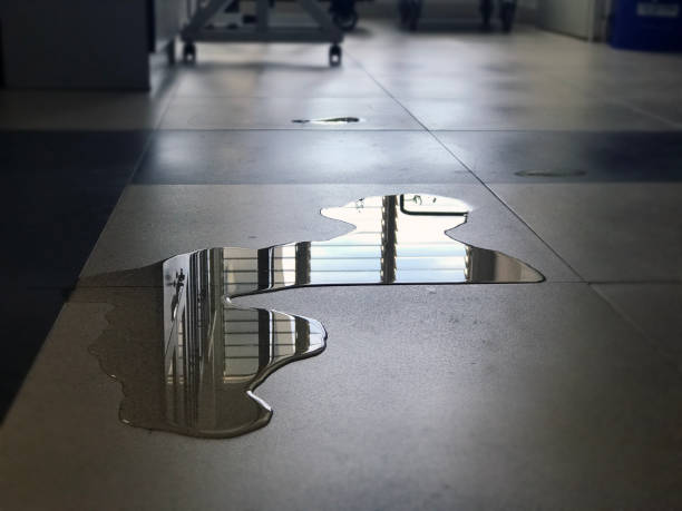 Best Professional water damage repair  in River Grove, IL