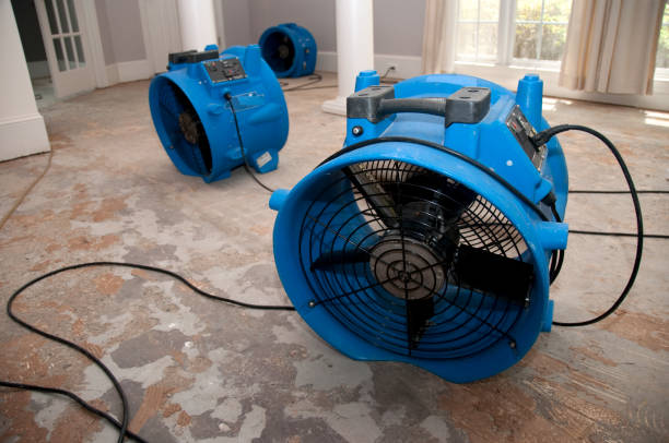 Best 24-hour water damage restoration  in River Grove, IL